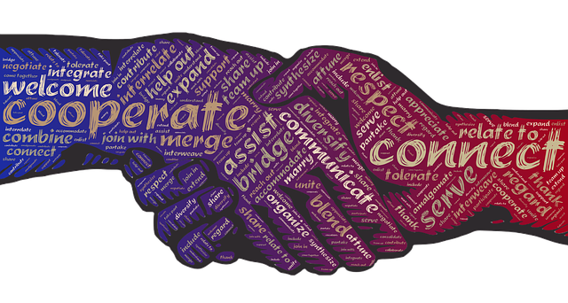 Bereket Döner Nedir, Bayilik Şartları Nelerdir